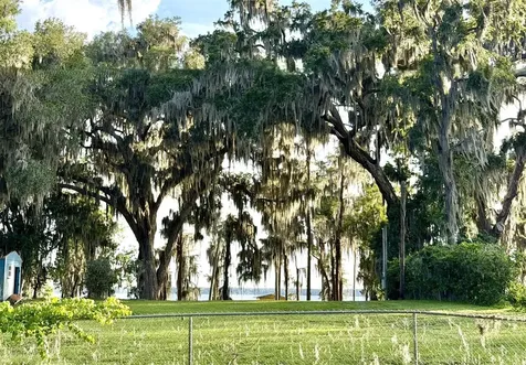 1043 SE County Road 21b Melrose FL 32666