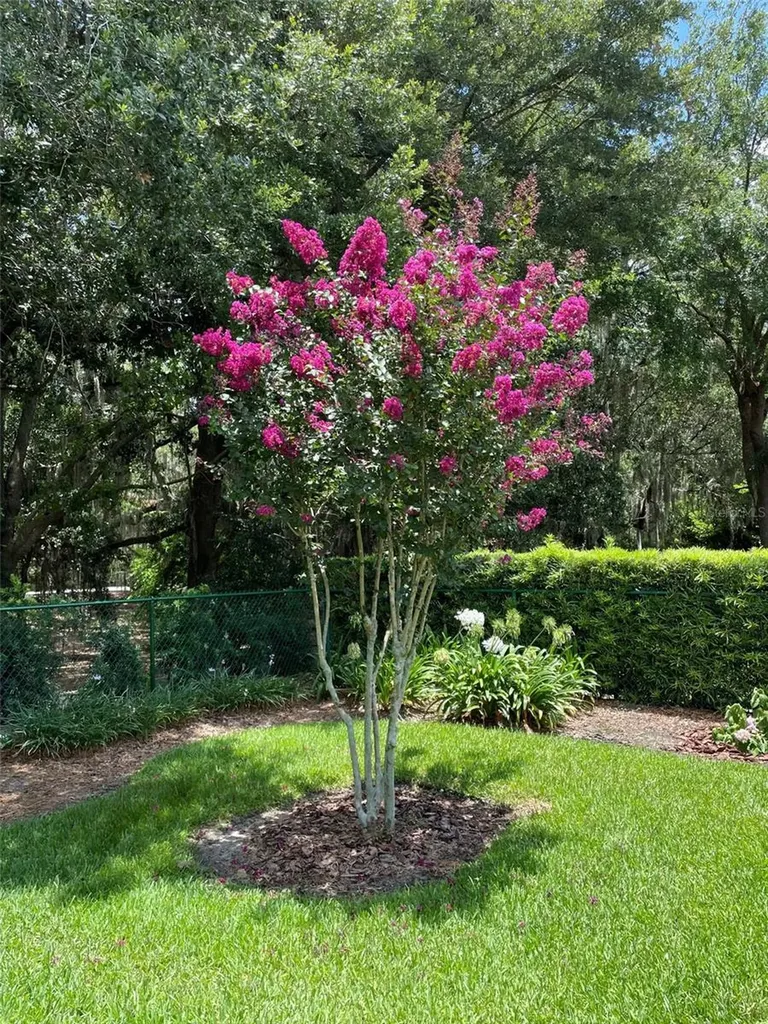7981 SW 81st Loop Ocala FL 34476