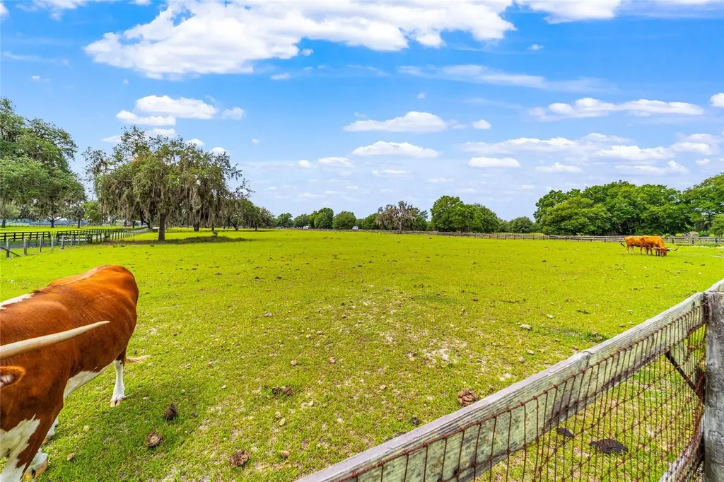2285 W Highway 318 Citra FL 32113