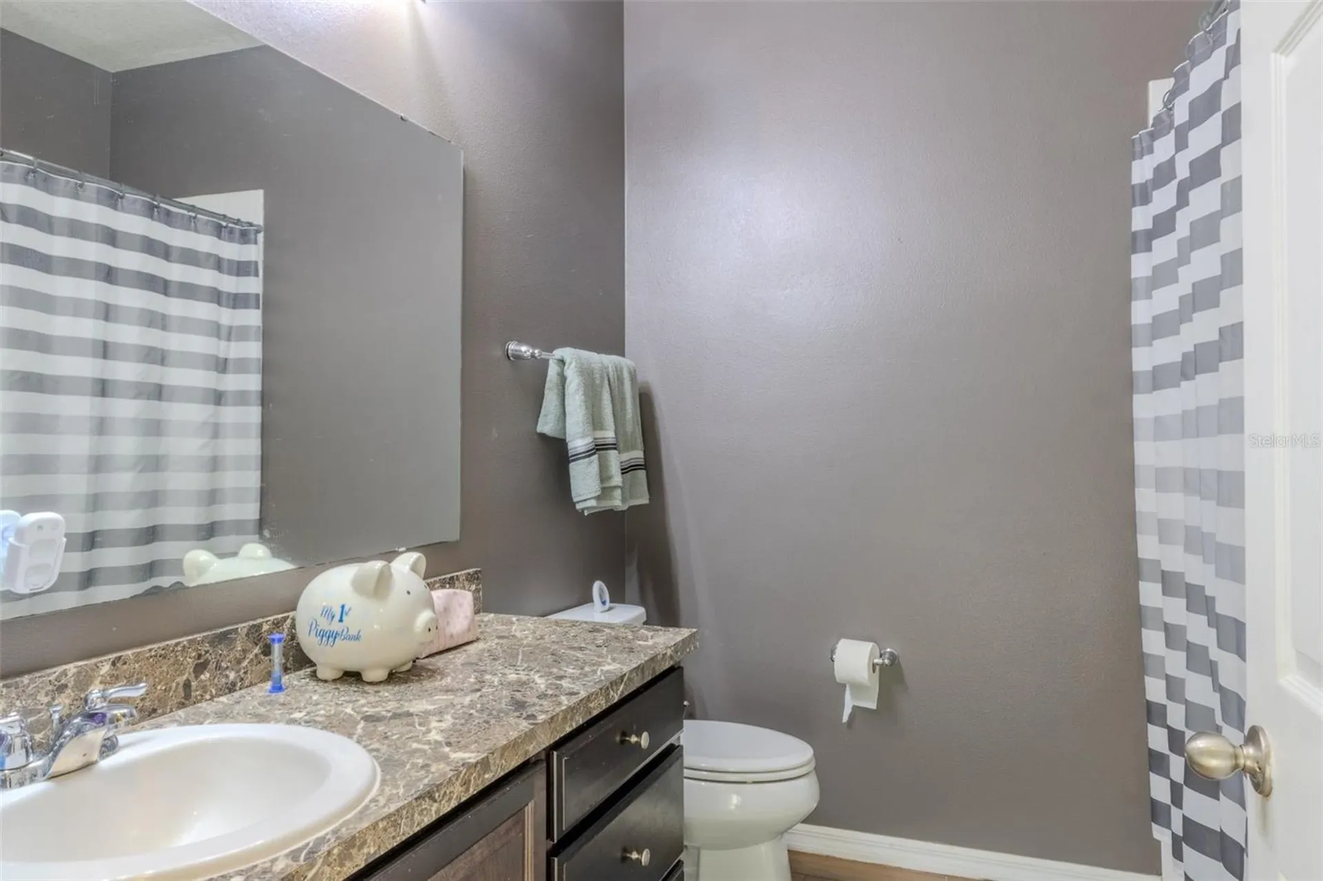 4379 Moon Shadow Loop Mulberry FL 33860