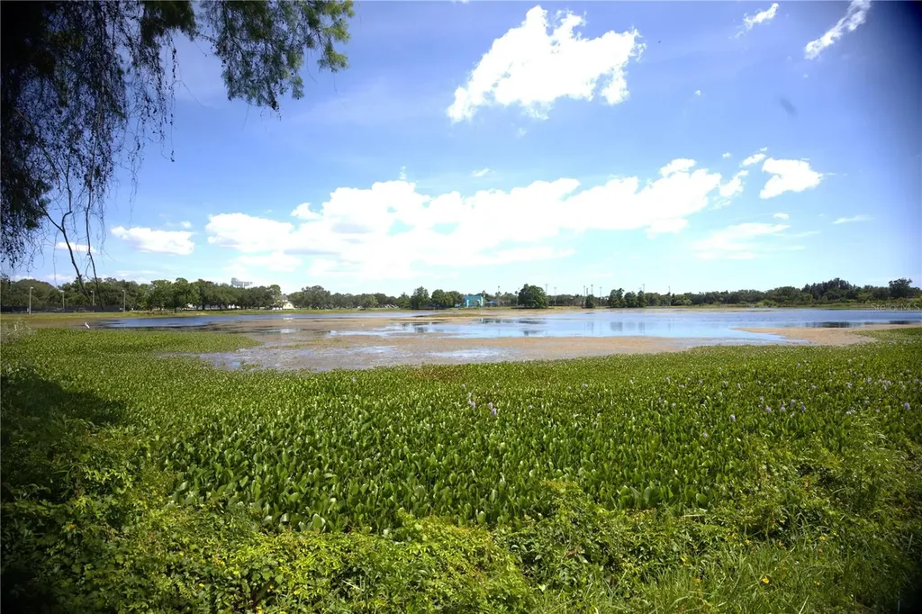 915 Dempsey Street Clearwater FL 33756