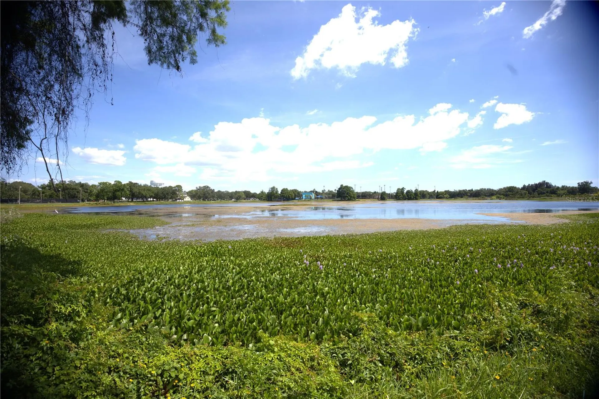 915 Dempsey Street Clearwater FL 33756