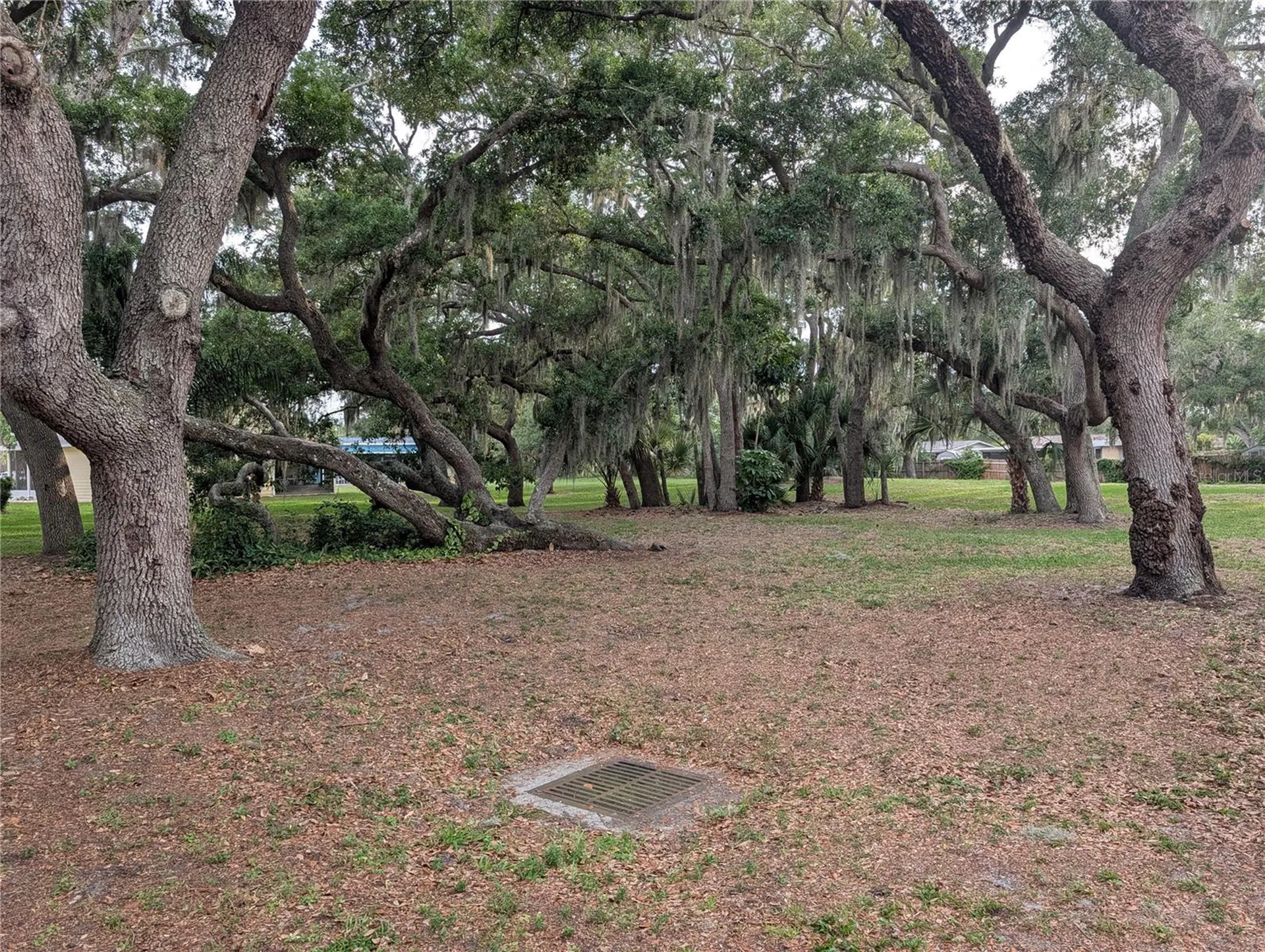 517 Bearded Oaks Circle Sarasota FL 34232