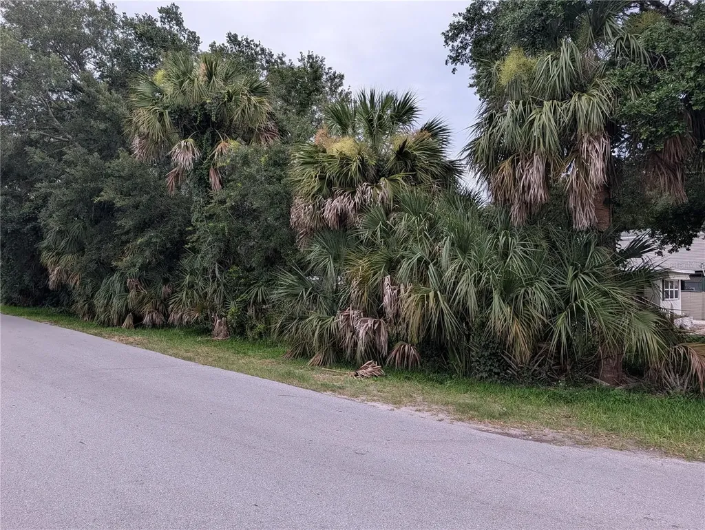 Weeki Wachee FL 34607