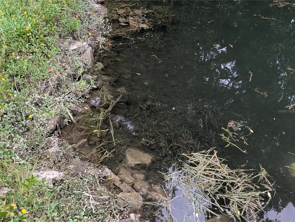 Weeki Wachee FL 34607