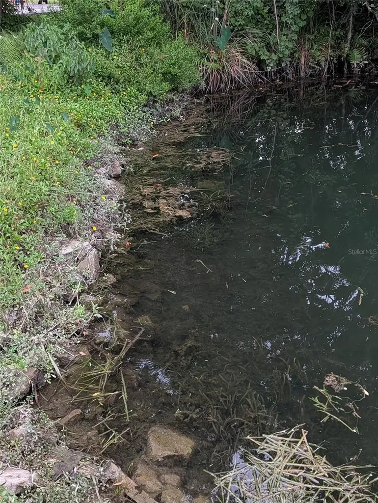Weeki Wachee FL 34607