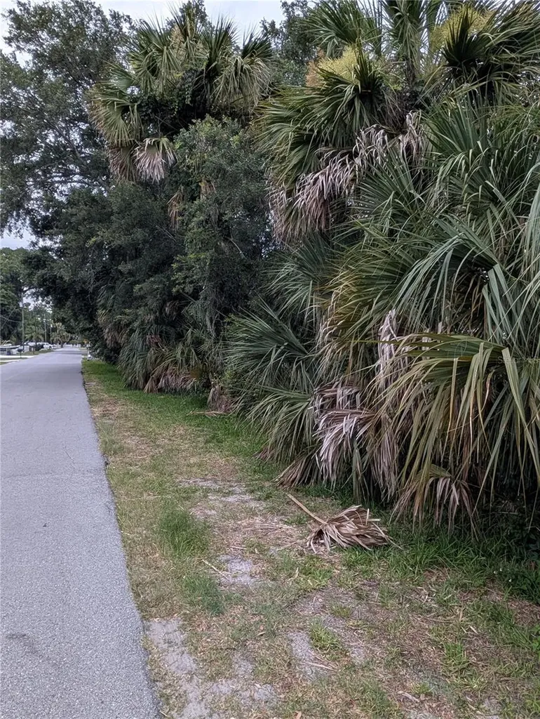 Weeki Wachee FL 34607