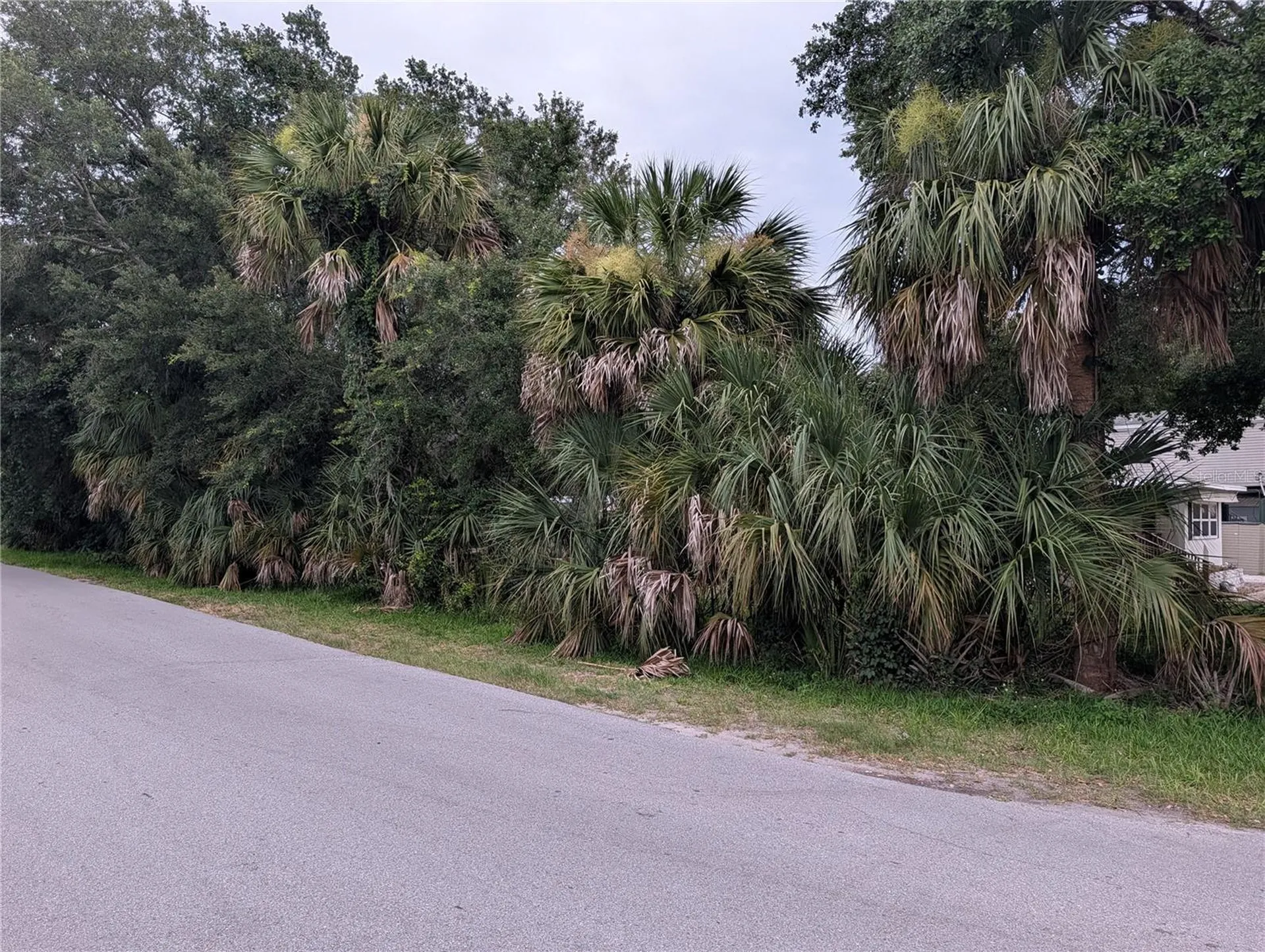Weeki Wachee FL 34607