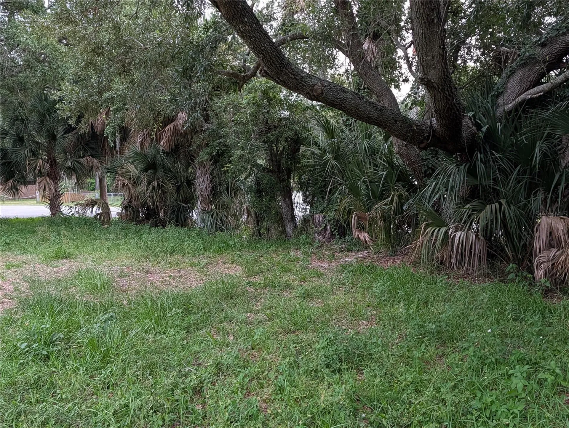 Weeki Wachee FL 34607