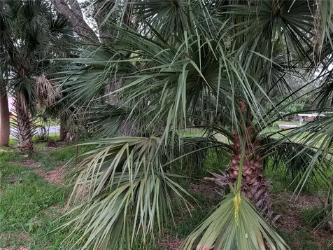Weeki Wachee FL 34607