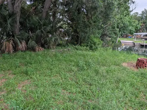 Weeki Wachee FL 34607
