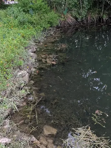 Weeki Wachee FL 34607