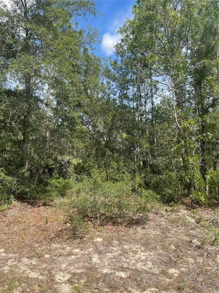 5569 N Twinkle Point Beverly Hills FL 34465