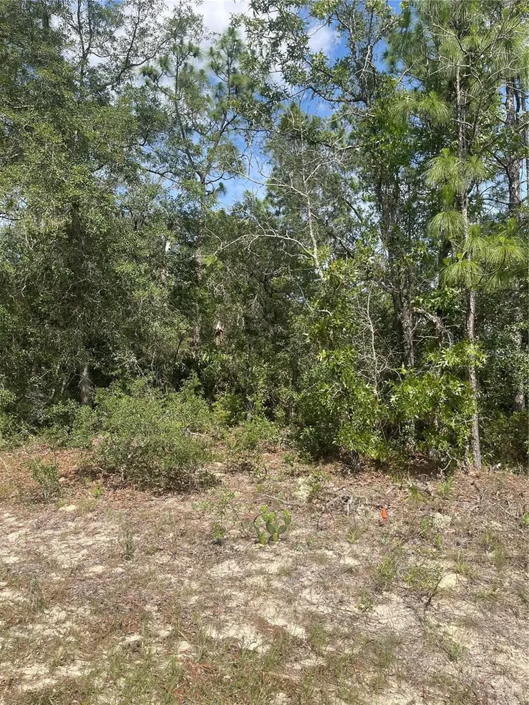 5569 N Twinkle Point Beverly Hills FL 34465