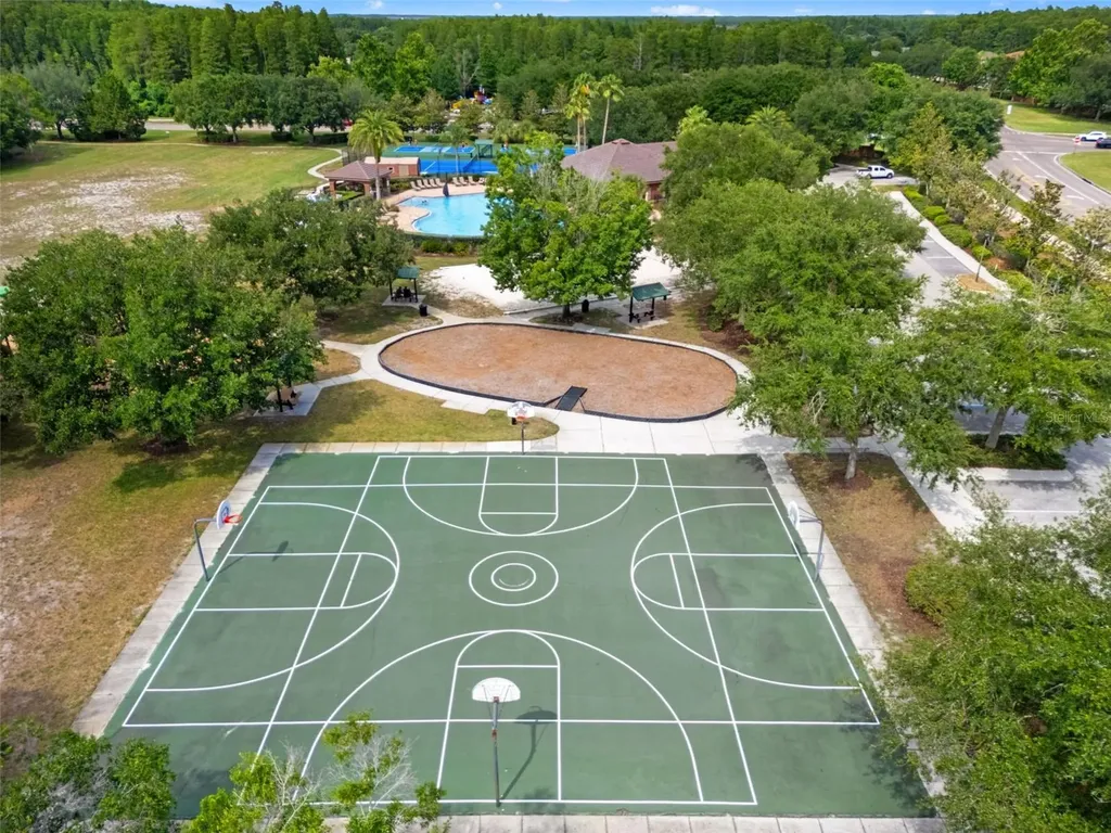 17535 Balmaha Drive Land O Lakes FL 34638