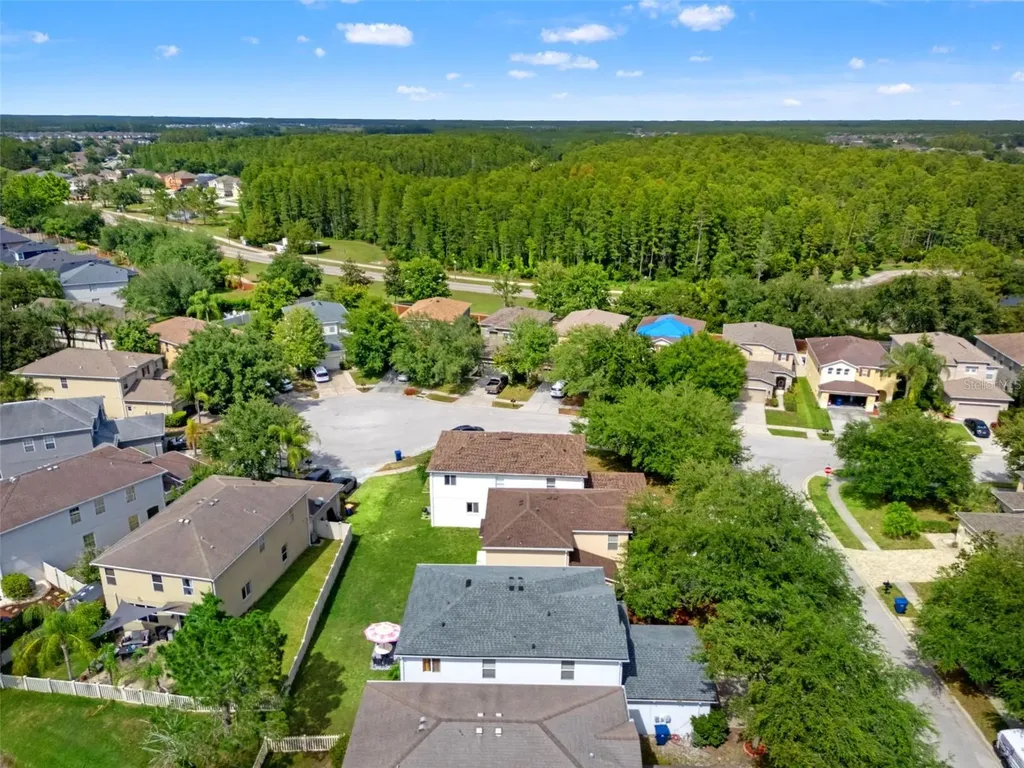17535 Balmaha Drive Land O Lakes FL 34638