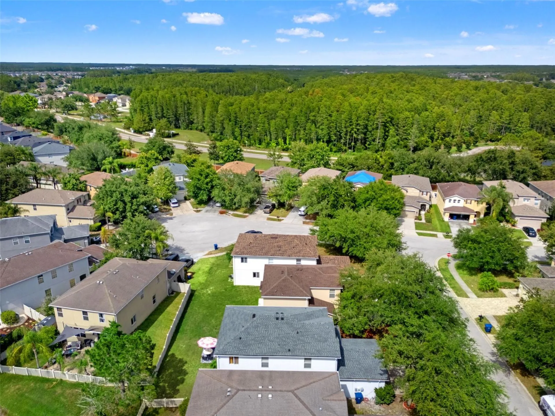 17535 Balmaha Drive Land O Lakes FL 34638