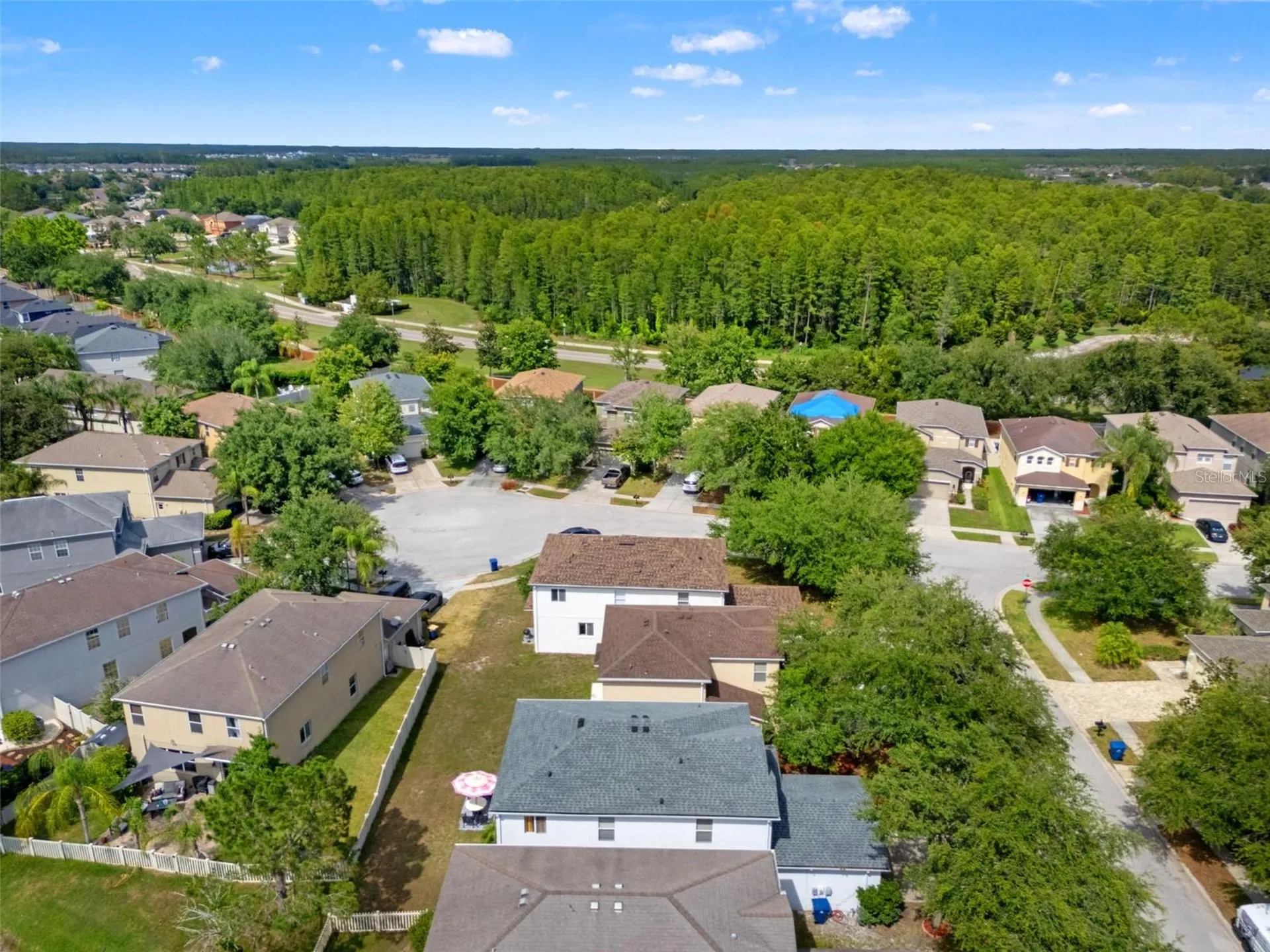 17535 Balmaha Drive Land O Lakes FL 34638