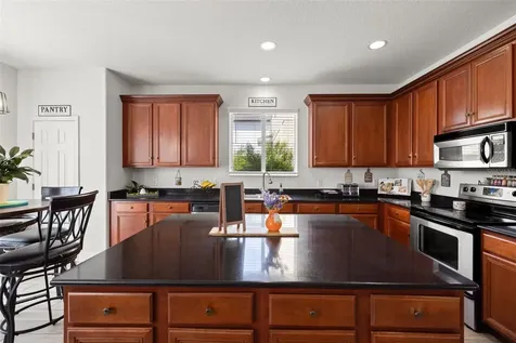 17535 Balmaha Drive Land O Lakes FL 34638