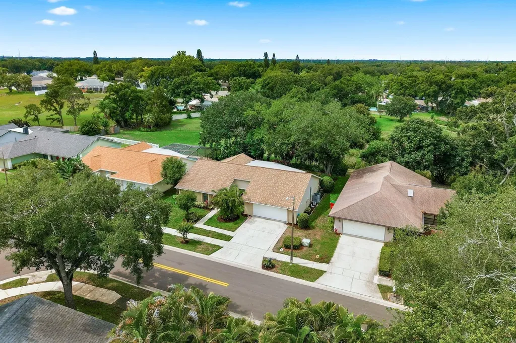 341 Arbor Drive W Palm Harbor FL 34683
