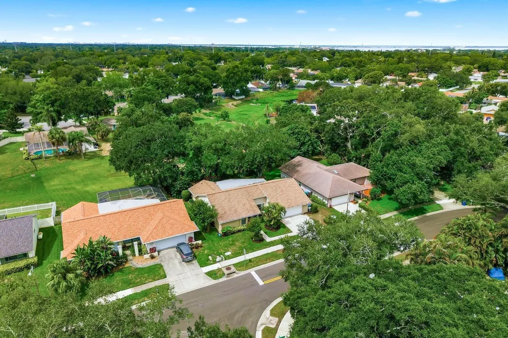 341 Arbor Drive W Palm Harbor FL 34683