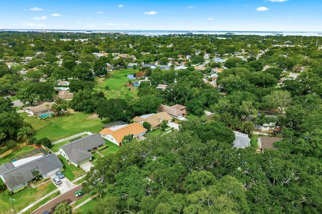 341 Arbor Drive W Palm Harbor FL 34683