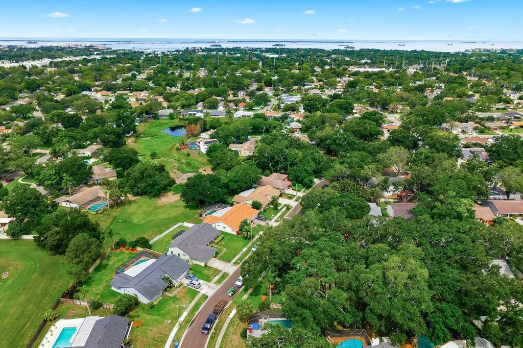 341 Arbor Drive W Palm Harbor FL 34683