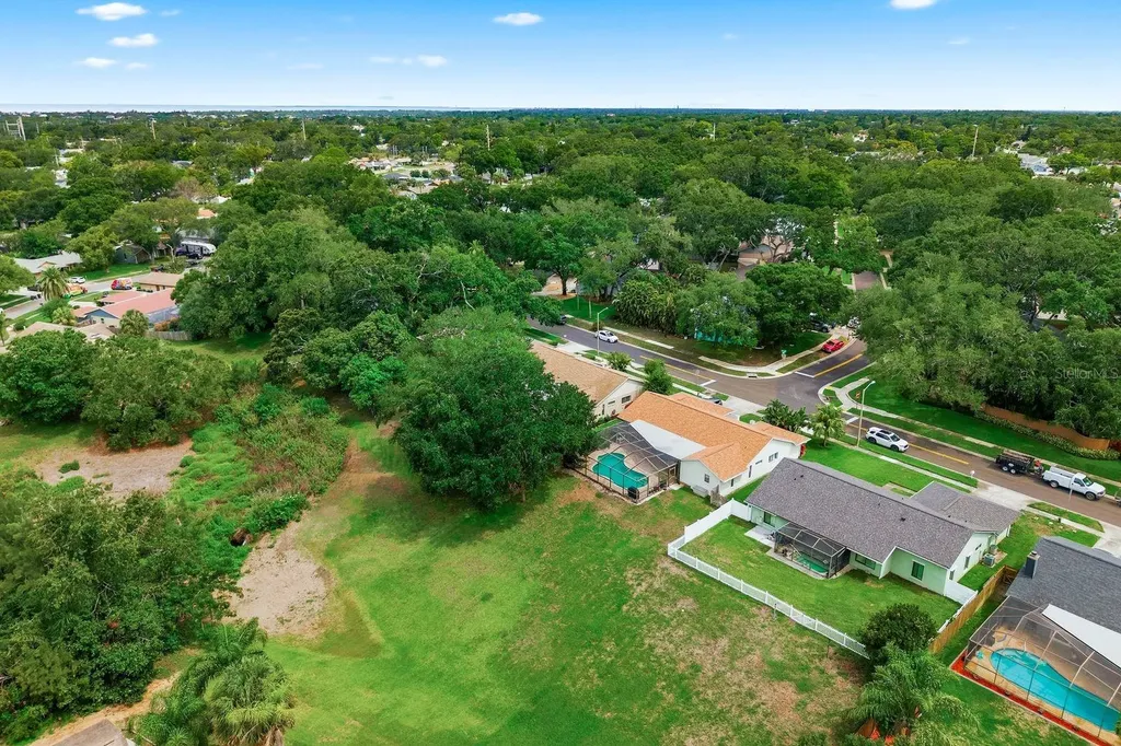 341 Arbor Drive W Palm Harbor FL 34683
