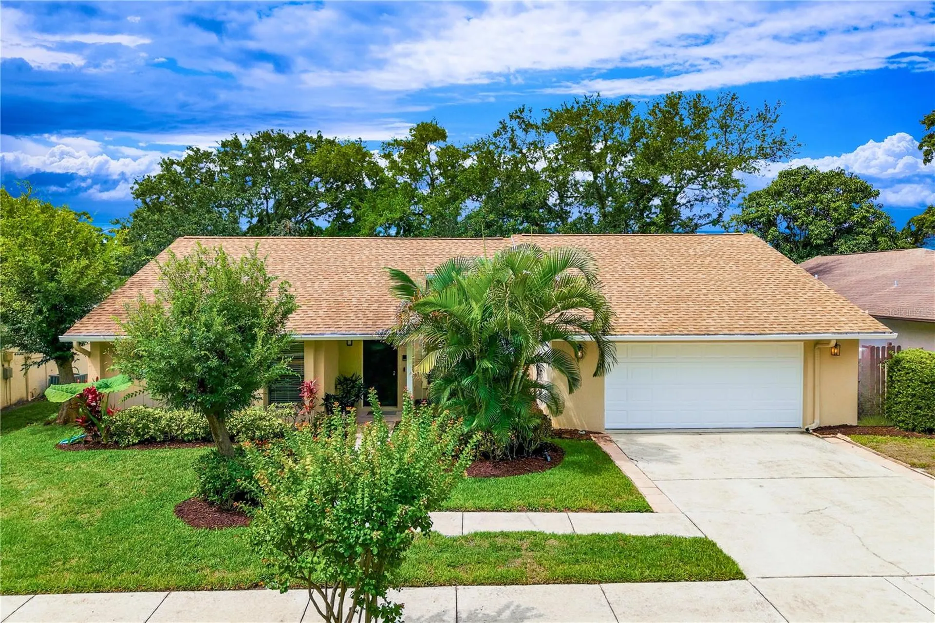 341 Arbor Drive W Palm Harbor FL 34683