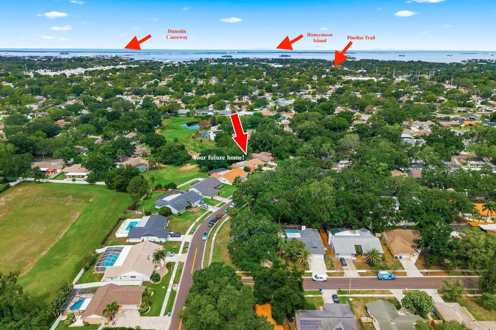 341 Arbor Drive W Palm Harbor FL 34683