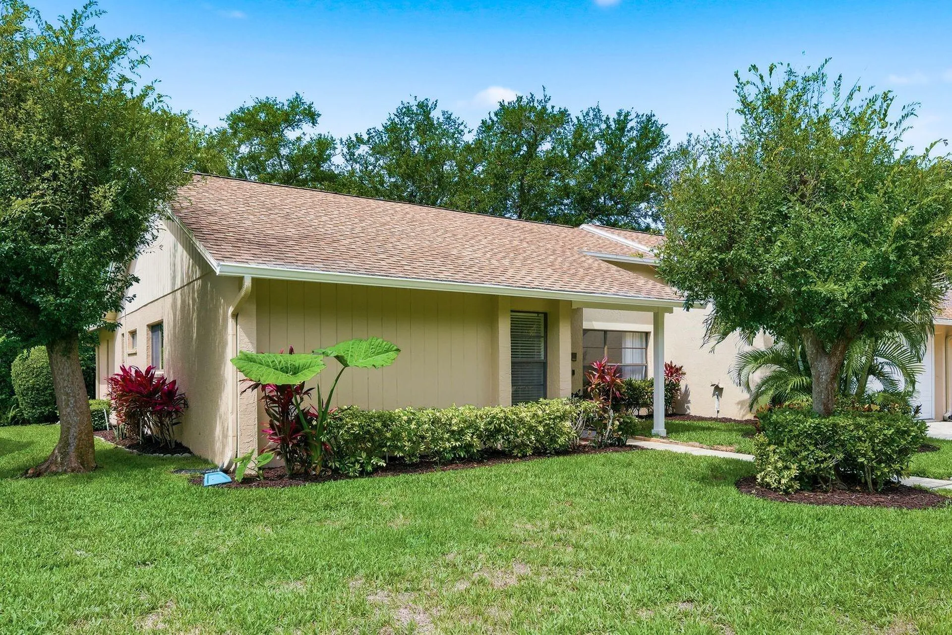 341 Arbor Drive W Palm Harbor FL 34683