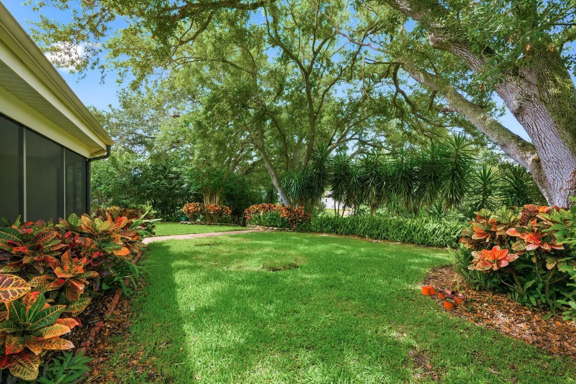 341 Arbor Drive W Palm Harbor FL 34683
