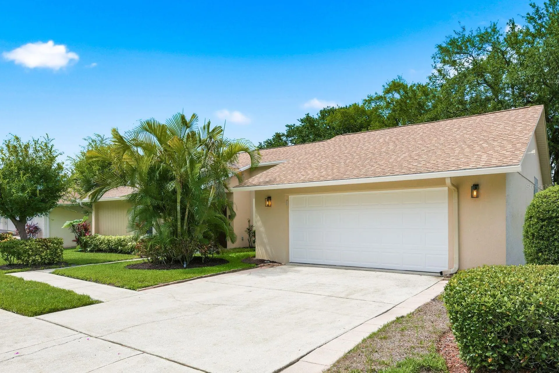 341 Arbor Drive W Palm Harbor FL 34683