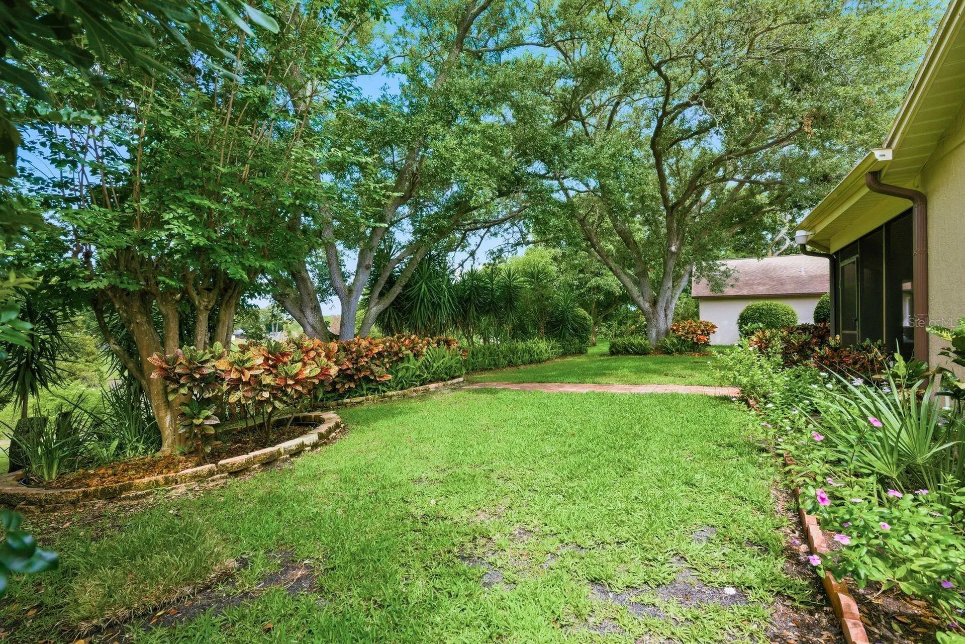 341 Arbor Drive W Palm Harbor FL 34683