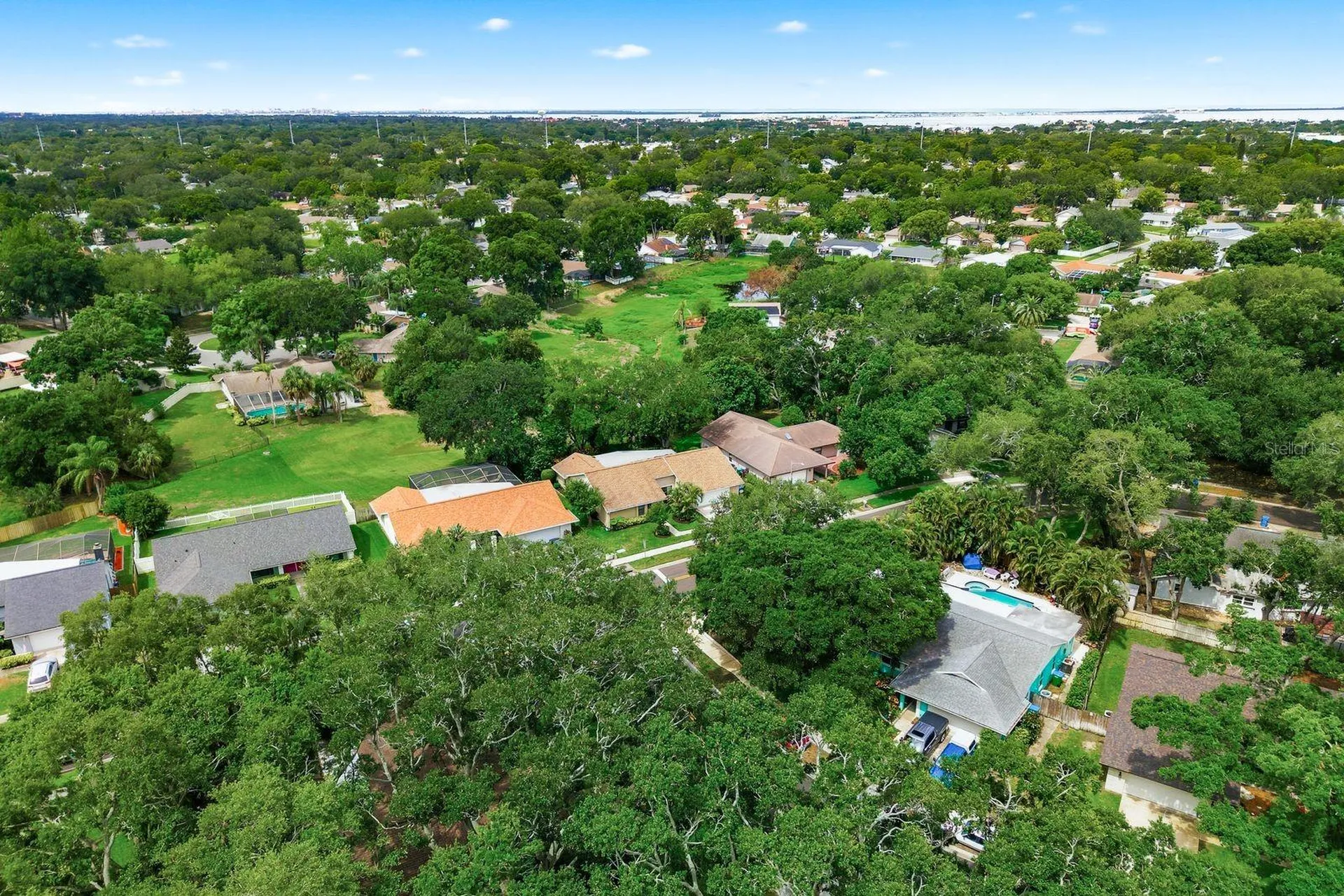 341 Arbor Drive W Palm Harbor FL 34683