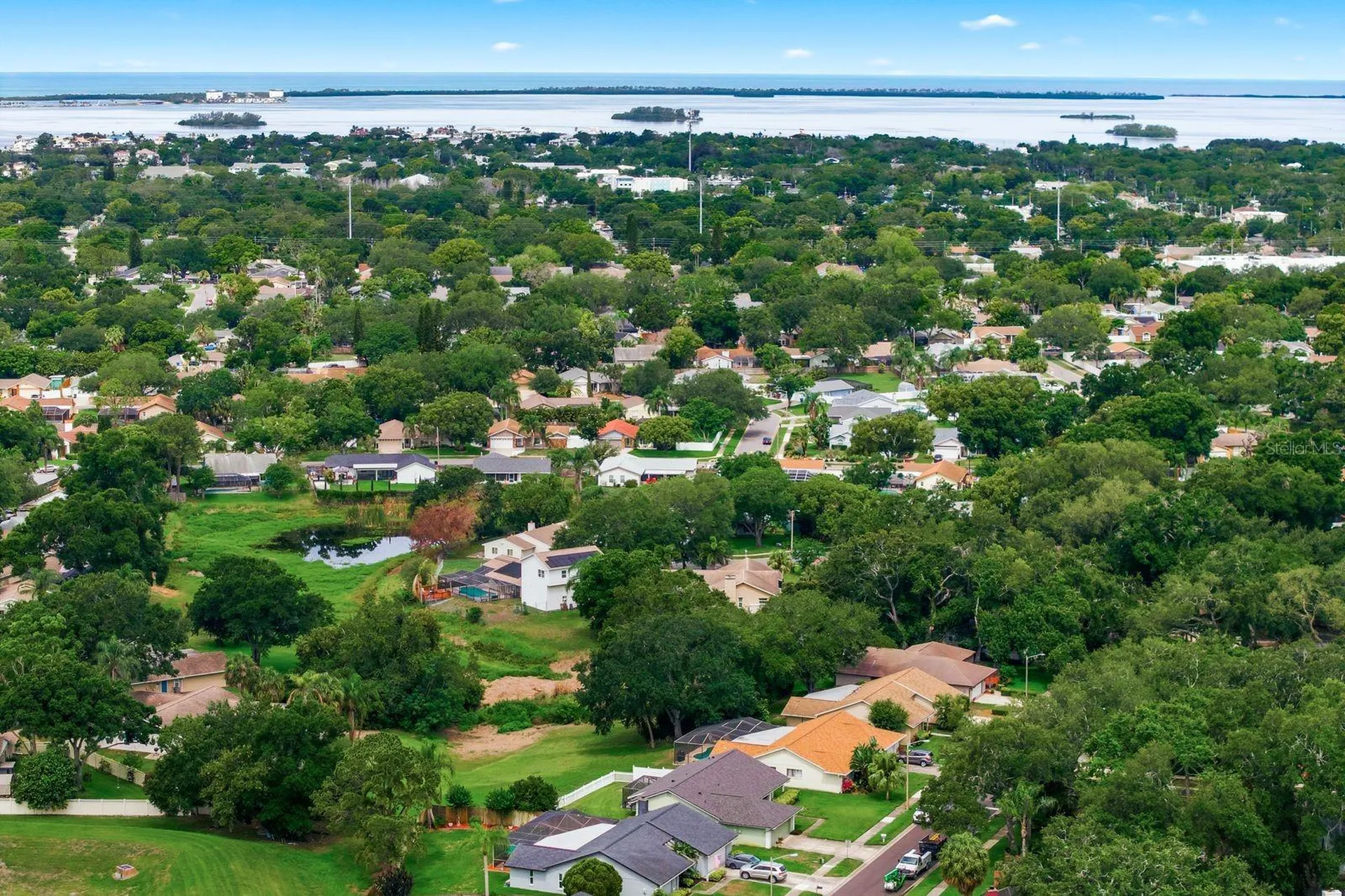341 Arbor Drive W Palm Harbor FL 34683
