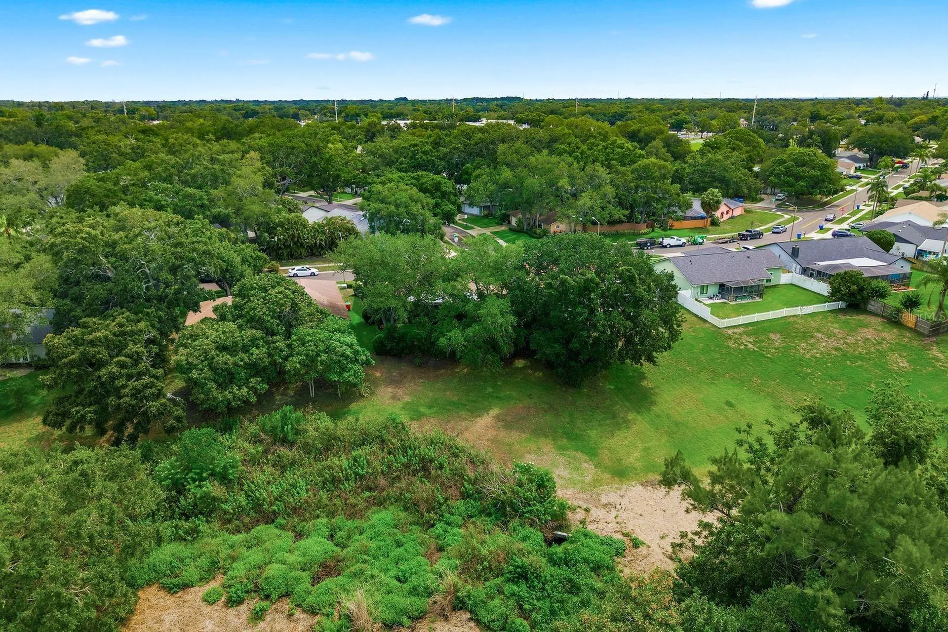 341 Arbor Drive W Palm Harbor FL 34683