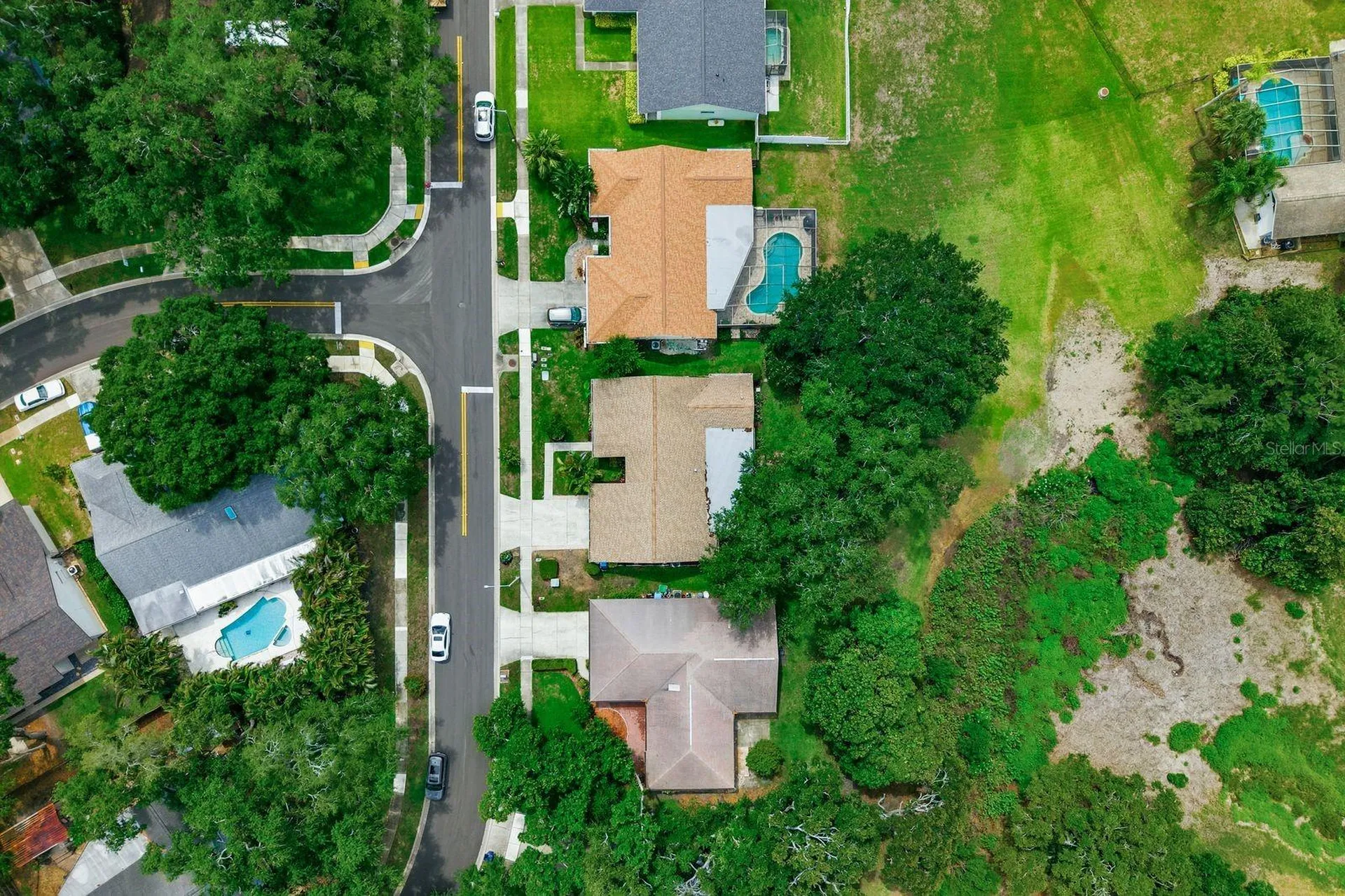 341 Arbor Drive W Palm Harbor FL 34683
