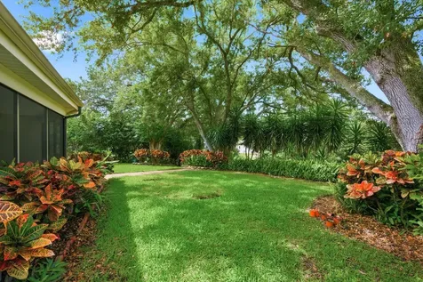 341 Arbor Drive W Palm Harbor FL 34683