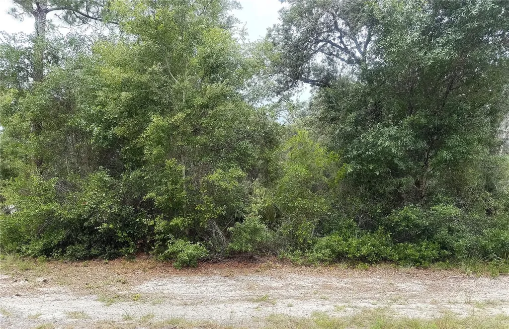 359 Coolidge Avenue NE Lake Placid FL 33852