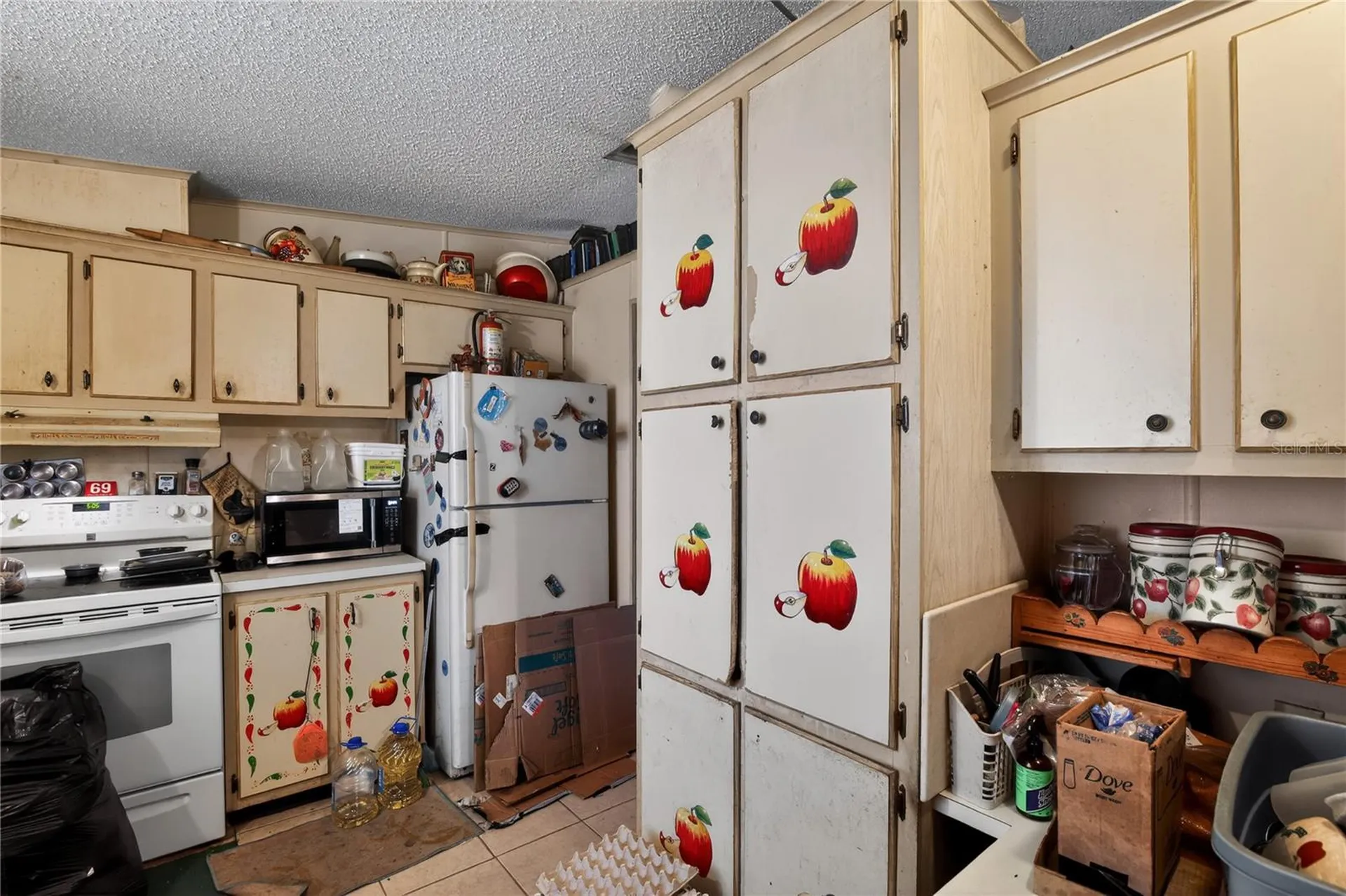 550 NE 154th Avenue Williston FL 32696
