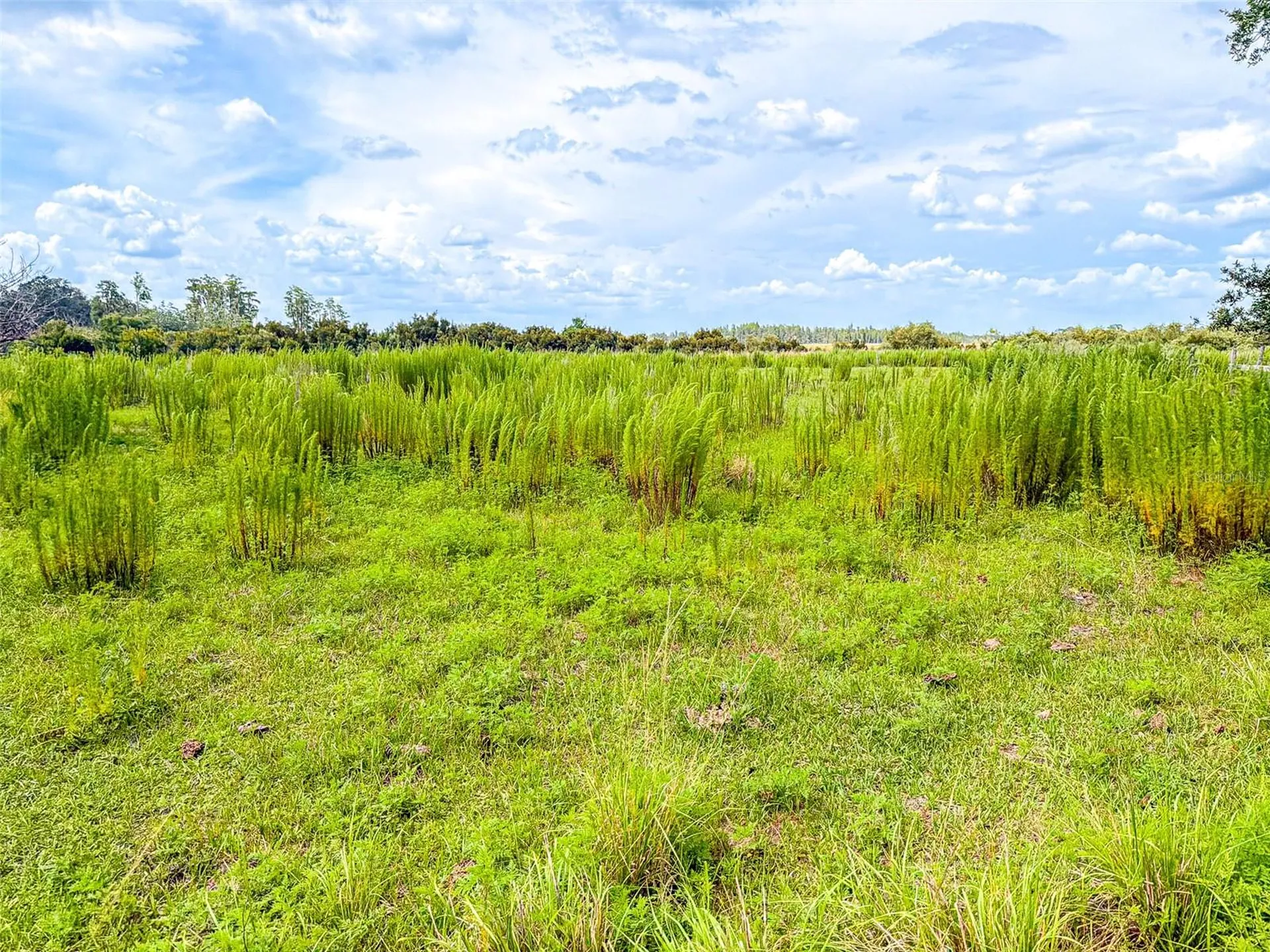4706 County Road 557a Polk City FL 33868