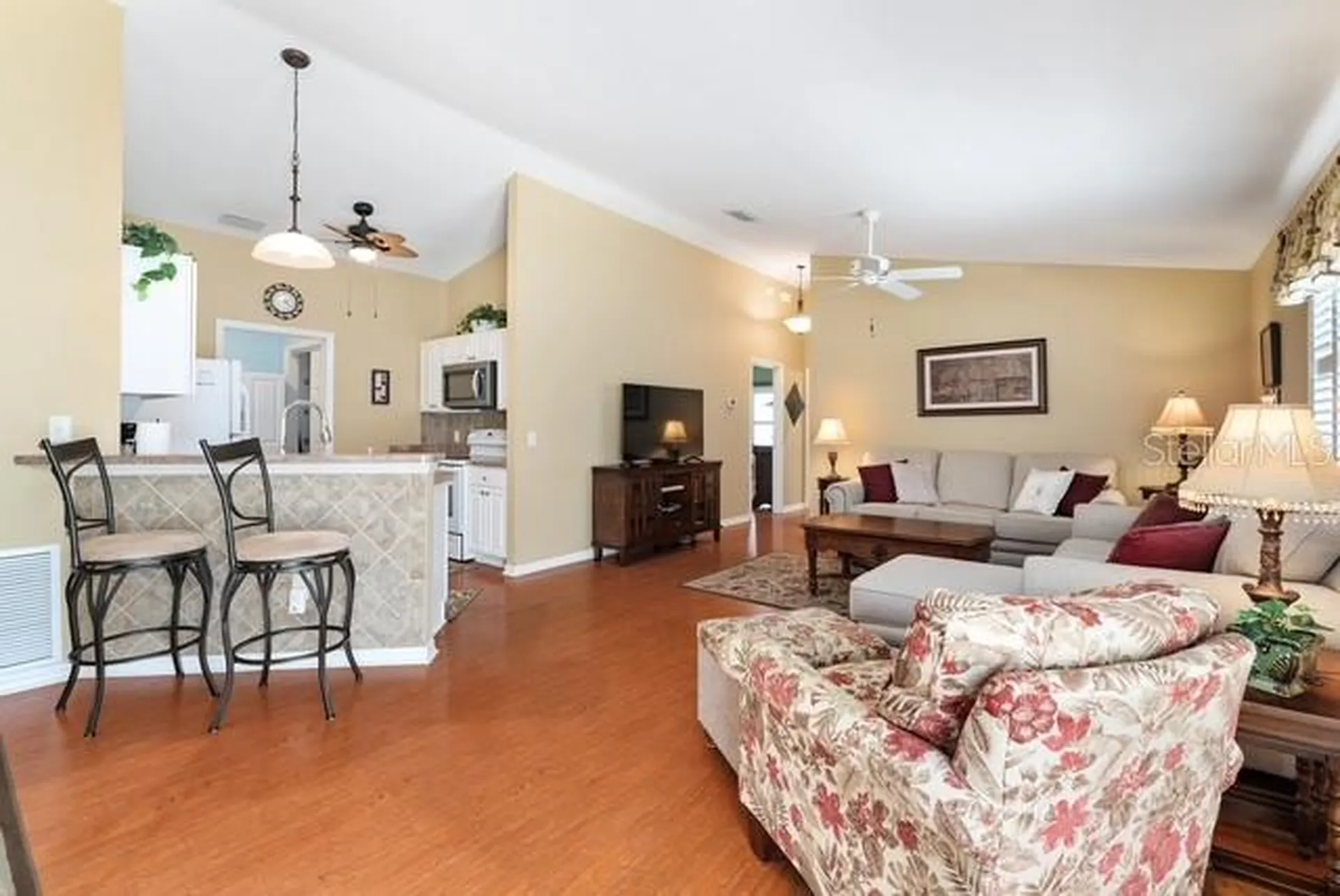 1636 Abasco Court The Villages FL 32162