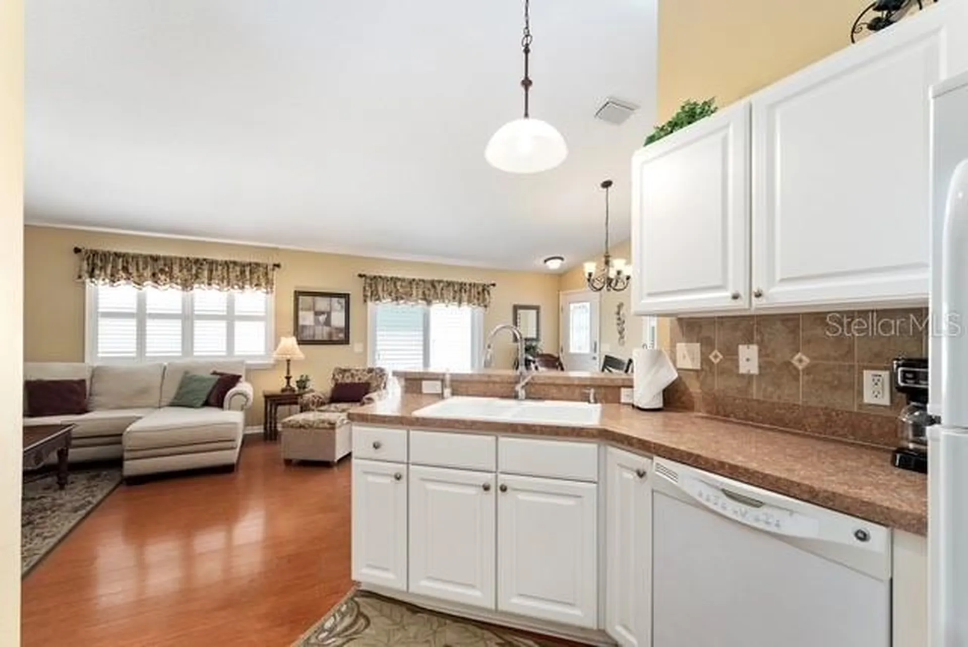 1636 Abasco Court The Villages FL 32162