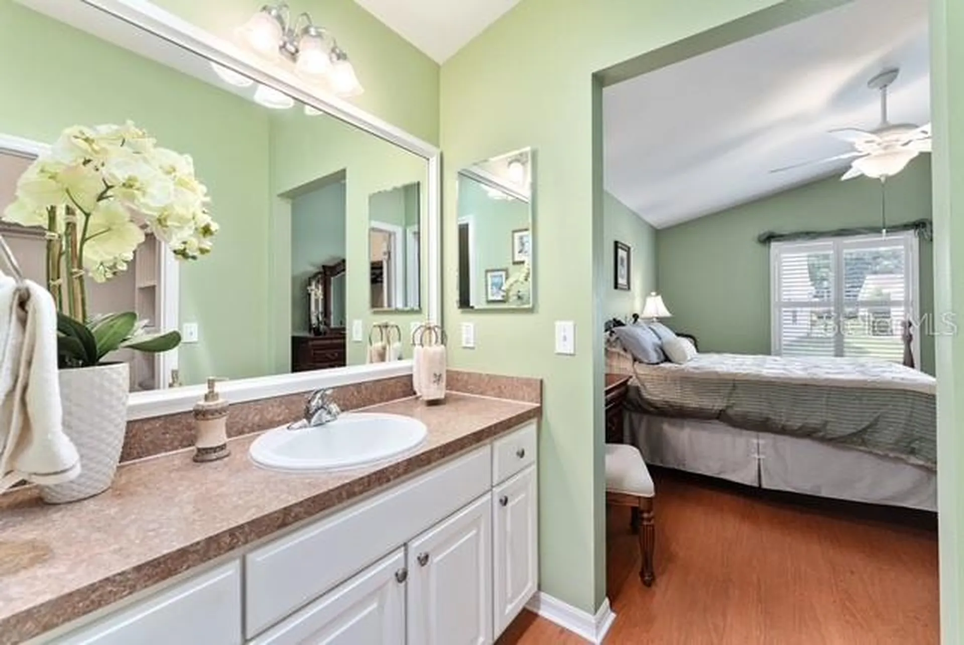 1636 Abasco Court The Villages FL 32162