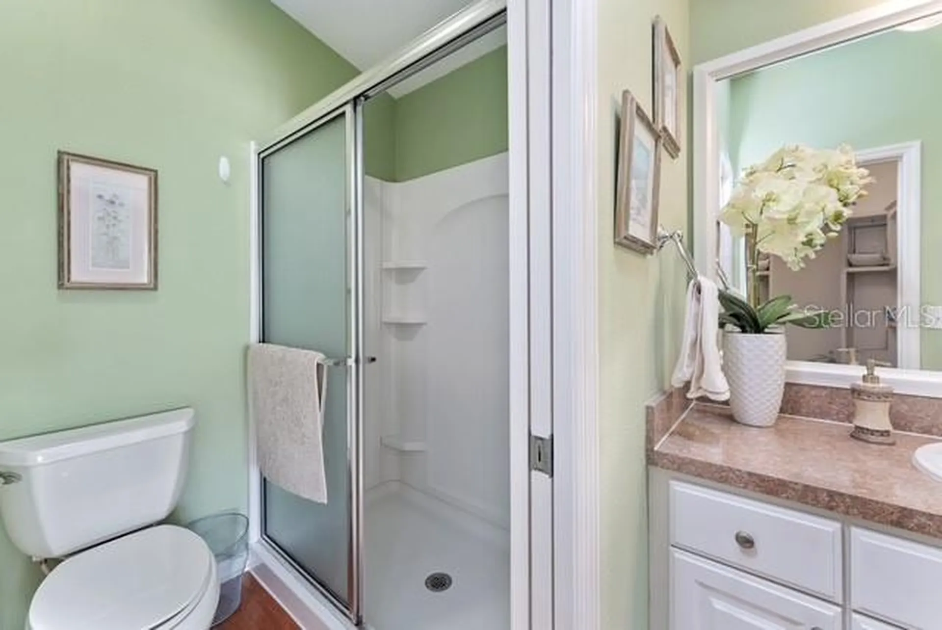1636 Abasco Court The Villages FL 32162