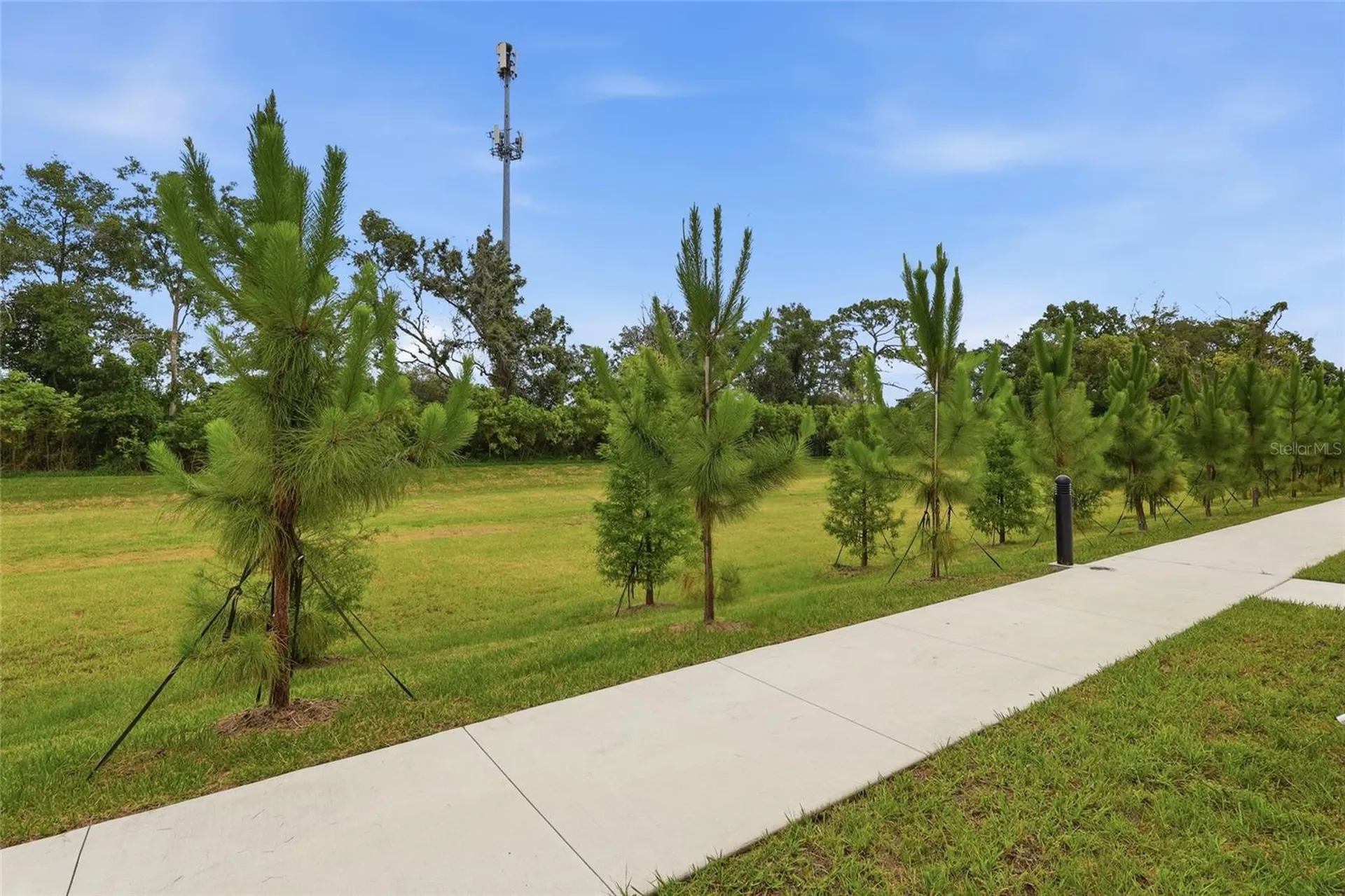 4369 Cambio Gardens Court Tampa FL 33610