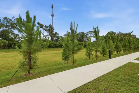 4369 Cambio Gardens Court Tampa FL 33610