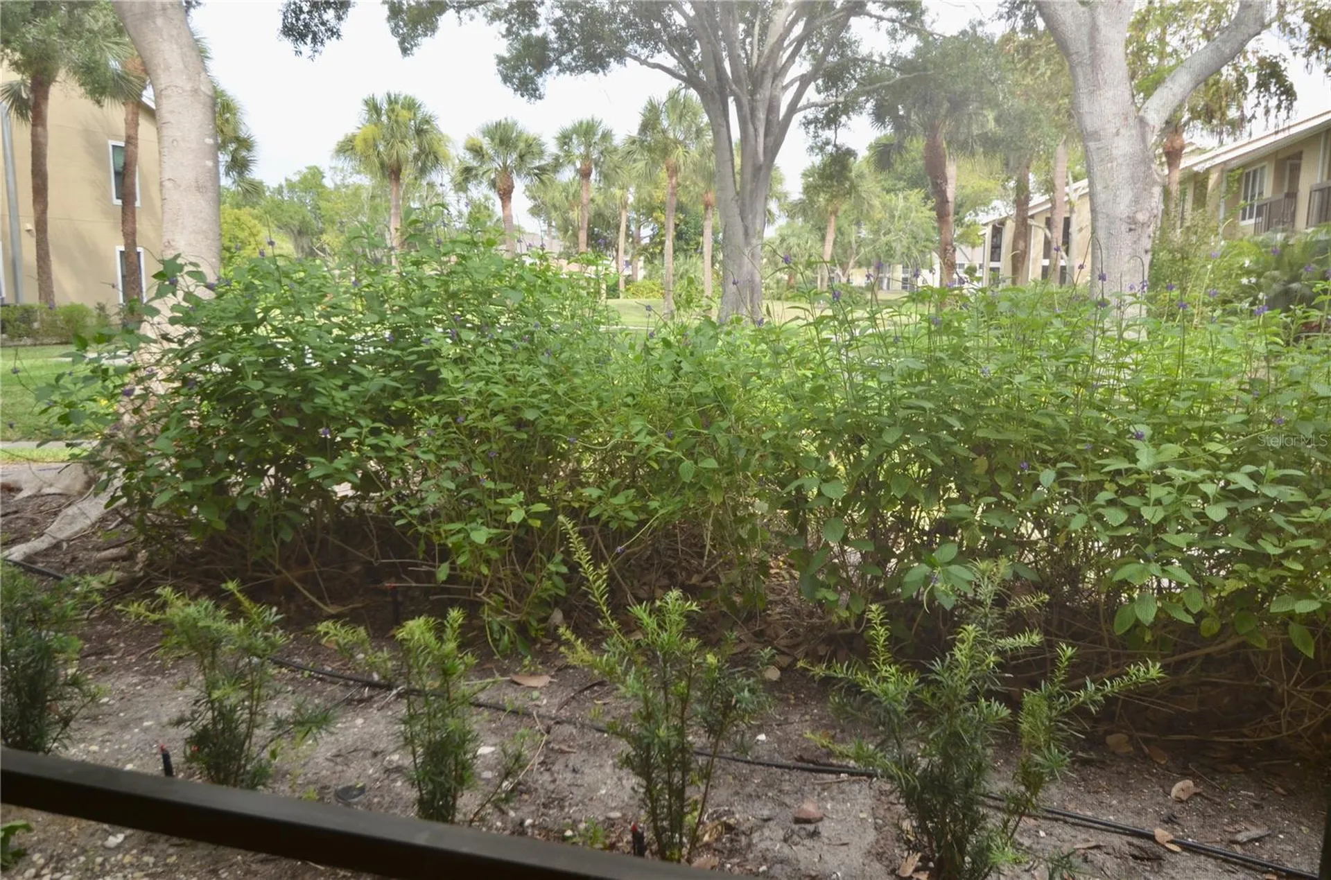 4009 Crockers Lake Boulevard Sarasota FL 34238