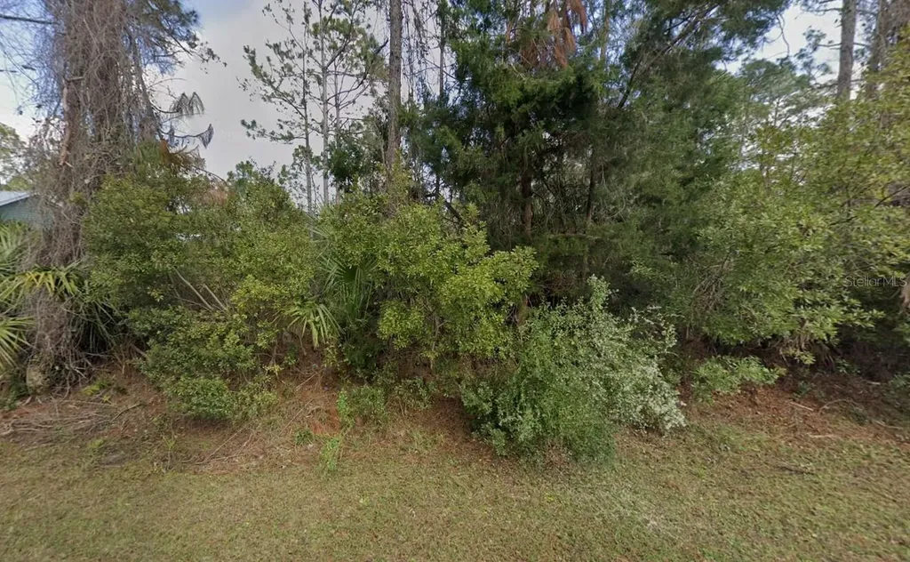 32 Serbian Bellflower Trail Palm Coast FL 32164